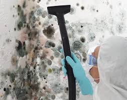 Best Mold Prevention Services  in Suffern, NY